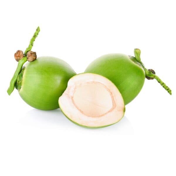 Green Simaese Coconut